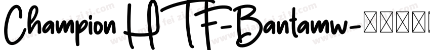 Champion HTF-Bantamw字体转换